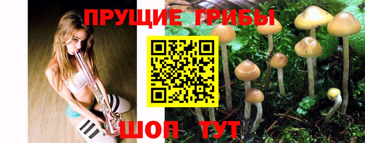 Галлюциногенные грибы Magic Shrooms  Вход с VPN  Отрадный 