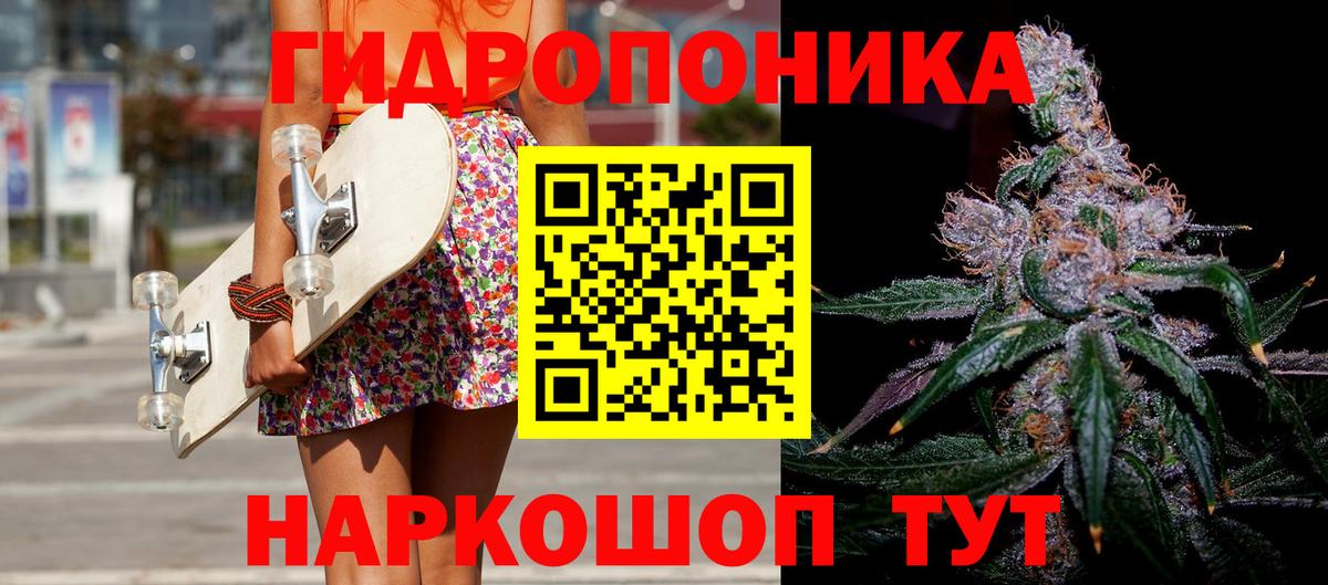 Канабис семена  Марихуана THC 21%  Отрадный  Вход с VPN  Канабис гибрид 